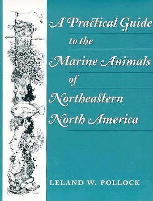 A Practical Guide to the Marine Animals of Northeastern North America (Paperback)