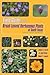 Field Guide to the Broad-Leaved Herbaceous Plants of South Texas: Used by Livestock and Wildlife