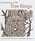 The Mystery of the Tree Rings