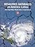 Desastres naturales en América Latina