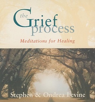 The Grief Process: Meditations for Healing (Audio CD)