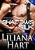 Shadows and Silk (The MacKenzie Family #6)