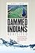 Dammed Indians Revisited: The Continuing History of the Pick-Sloan Plan and the Missouri River Sioux