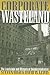 Corporate Wasteland: The La...