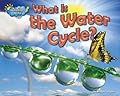 What Is the Water Cycle?