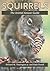 Squirrels by Richard W. Thorington Jr.