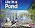 Life in a Pond (Living in a Biome)