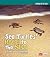 Sea Turtles' Race to the Se...