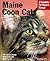 Maine Coon Cats: A Complete Pet Owner’s Manual