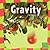 Gravity (First Facts, Our Physical World)