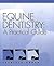 Equine Dentistry: A Practical Guide