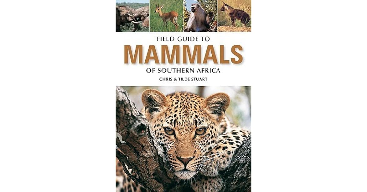 Field Guide to Mammals of Southern Africa (Field Guide To... by Chris ...