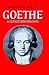 Goethe: A Critical Introduction