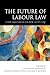 The Future of Labour Law: Liber Amicorum Sir Bob Hepple QC