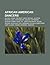 African American Dancers: Aaliyah, Sisqo, Gregory Hines, Michael Jackson, Master Juba, Chris Brown, Ashanti, Katherine Dunham, Sammy Davis, Jr.