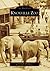 Knoxville Zoo (Images of America: Tennessee)