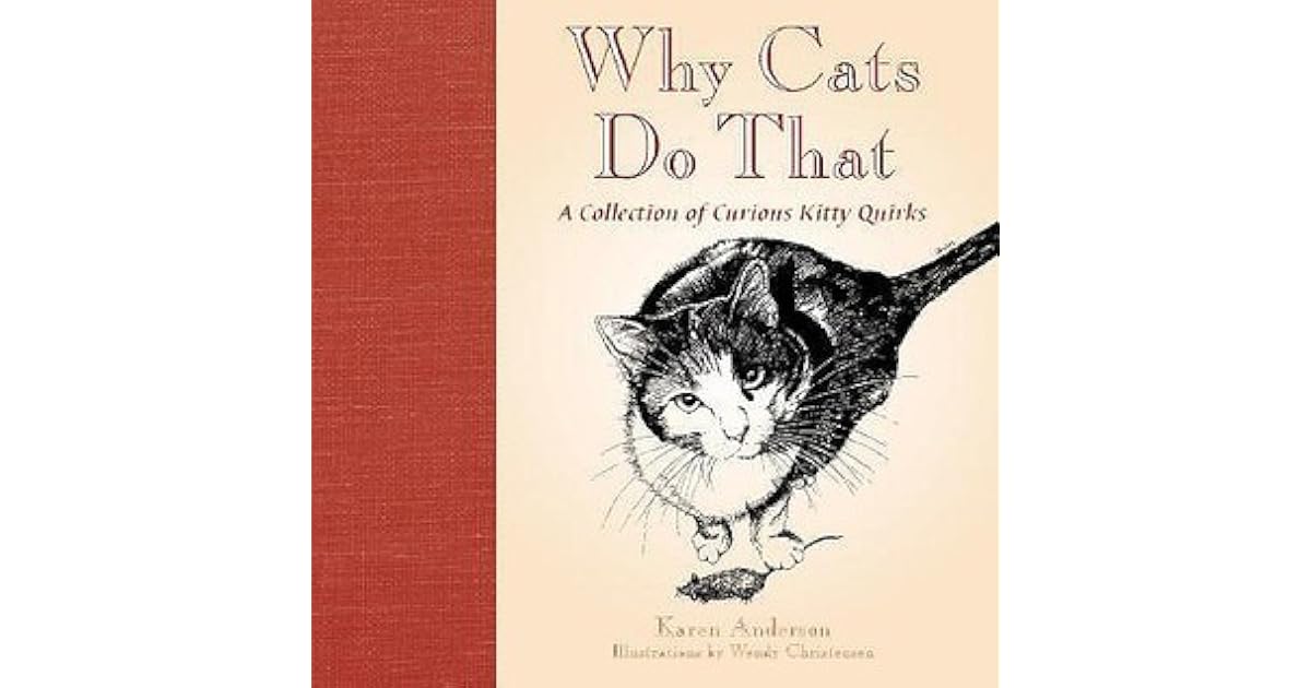 Why Cats Do That A Collection of Curious Kitty Quirks by Karen Anderson