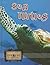 Sea Turtles (Eye to Eye With Endangered Species)