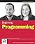 Beginning Programming