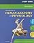 Study Guide for Introduction to Human Anatomy and Physiology