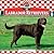 Labrador Retrievers