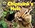 Chipmunk's Hole (Hole Truth! Underground Animal Life)