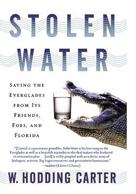 Stolen Water: Saving the Everglades from Its Friends, Foes, and Florida