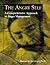 The Angry Self: A Comprehensive Approach to Anger Management