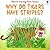 Why Do Tigers Have Stripes?