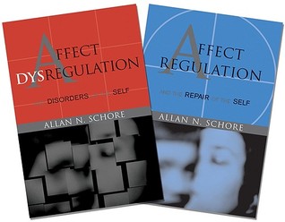 Affect Dysregulation and Disorders of the Self/Affect Regulation and the Repair of the Self (Hardcover)