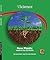 New Plants: Seeds in the Soil Patch (iScience Readers)