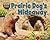 Prairie Dog's Hideaway (Hole Truth! Underground Animal Life)