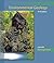 Environmental Geology