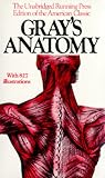 Gray's Anatomy