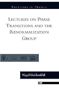 Lectures on Phase Transitions and the Renormalization Group