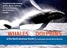Whales and Dolphins of the North American Pacific: Including Seals and Other Marine Mammals Whales and Dolphins of the North American Pacific: Including Seals and Other Marine Mammals