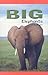 Big Elephants (Rosen Science)