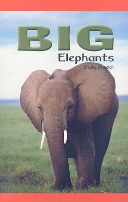 Big Elephants (Rosen Science)