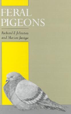 Feral Pigeons (Hardcover)