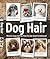 Dog Hair