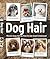 Dog Hair by Spruce