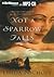 Not a Sparrow Falls (Second Chances Collection, #1)