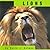 Lions (Animals)