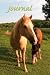 Horse Sense Journal by Shannon C. Knapp