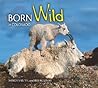Born Wild in Colorado