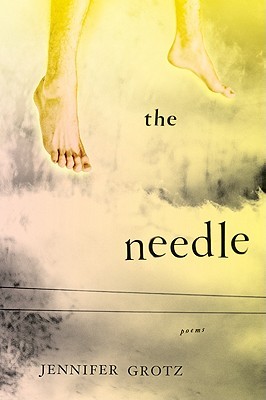 The Needle (Hardcover)