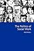 The Politics of Social Work (Sage Politics Texts)