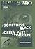 Something Black in the Green Part of Your Eye (New Issues Poetry & Prose)