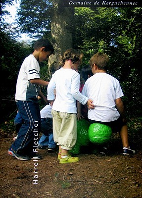 Where I Lived, and What I Lived For (Hardcover)