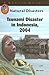 Tsunami Disaster in Indonesia, 2004